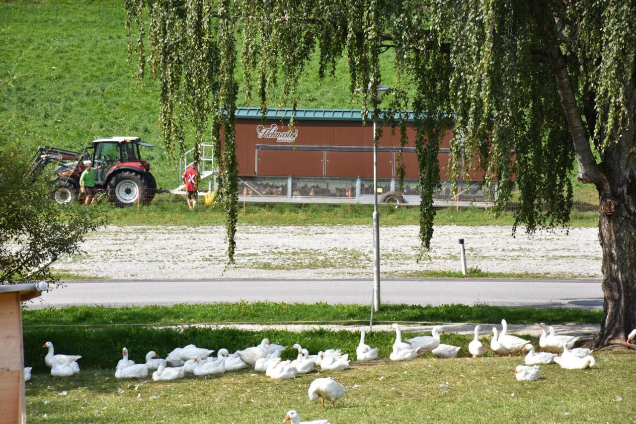 Puttererseehof Aigen im Ennstal Esterno foto